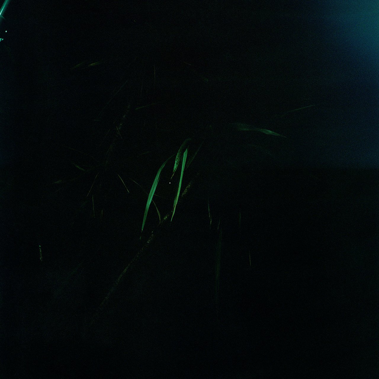 Behind Glass vol.4, photo 17 of 25