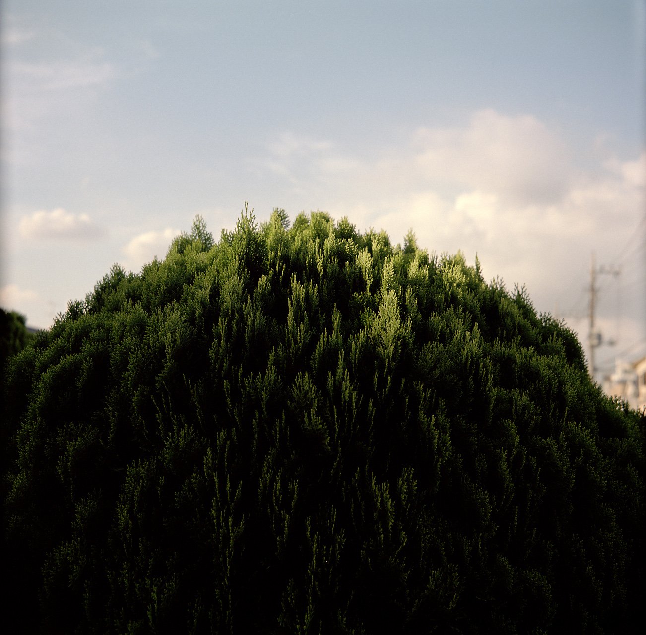 Daylight, photo 5 of 16