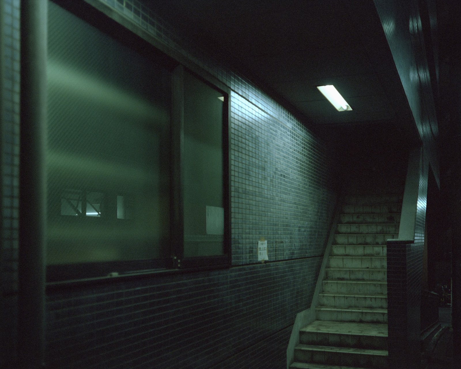 Edge of Shadows, photo 16 of 22