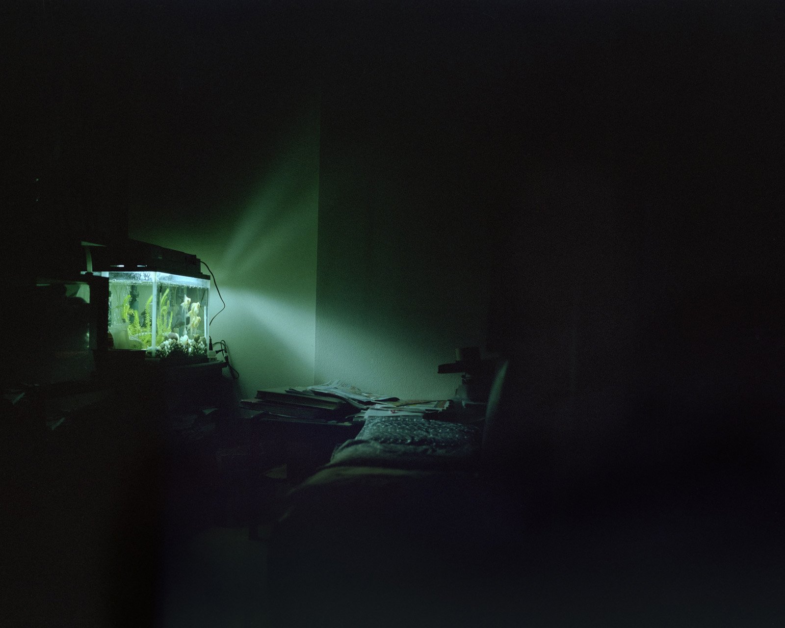 Edge of Shadows, photo 20 of 22
