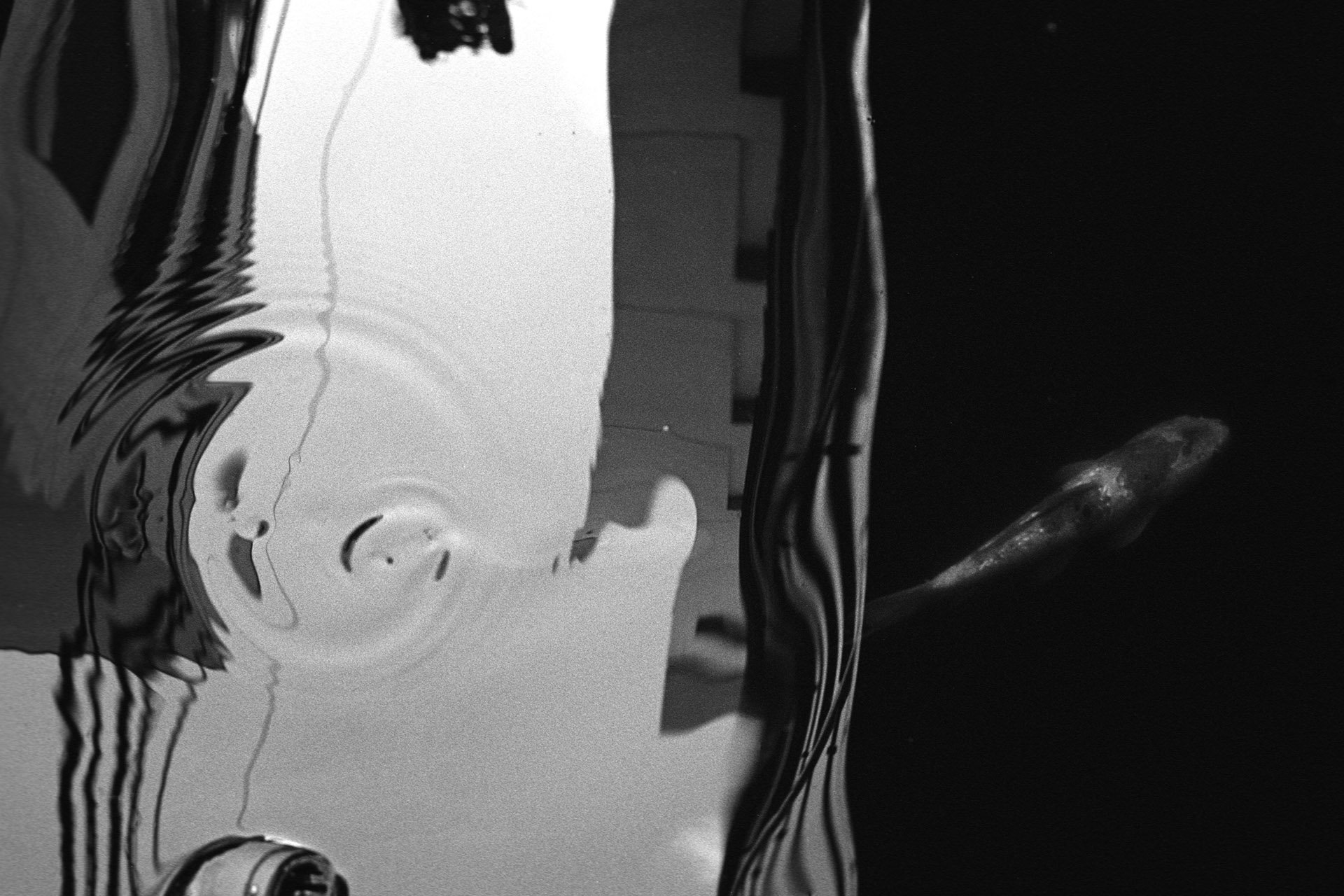 Fractal, photo 5 of 25