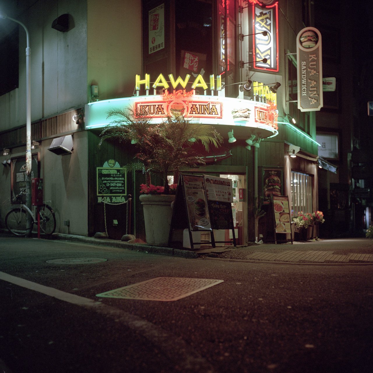 Journey to the End of the Night, photo 14 of 20