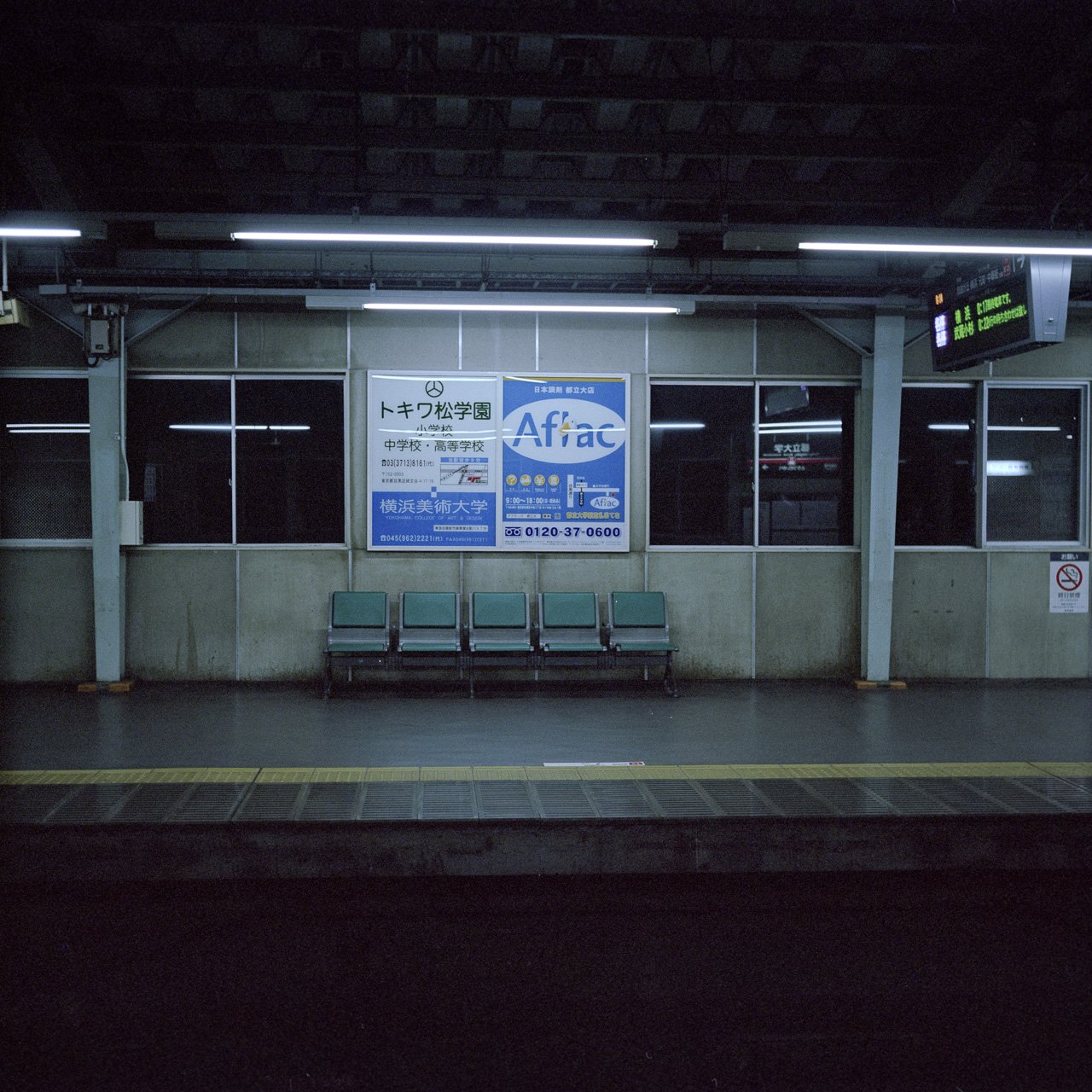 Journey to the End of the Night, photo 20 of 20