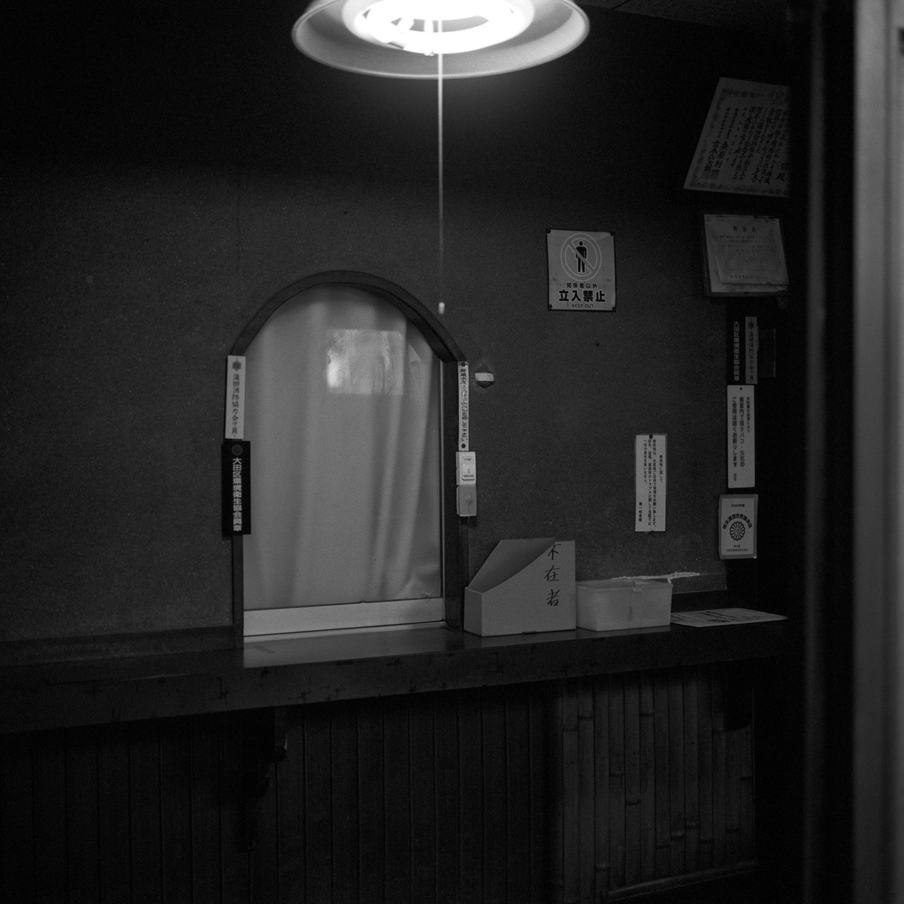 Languid Light, photo 4 of 26