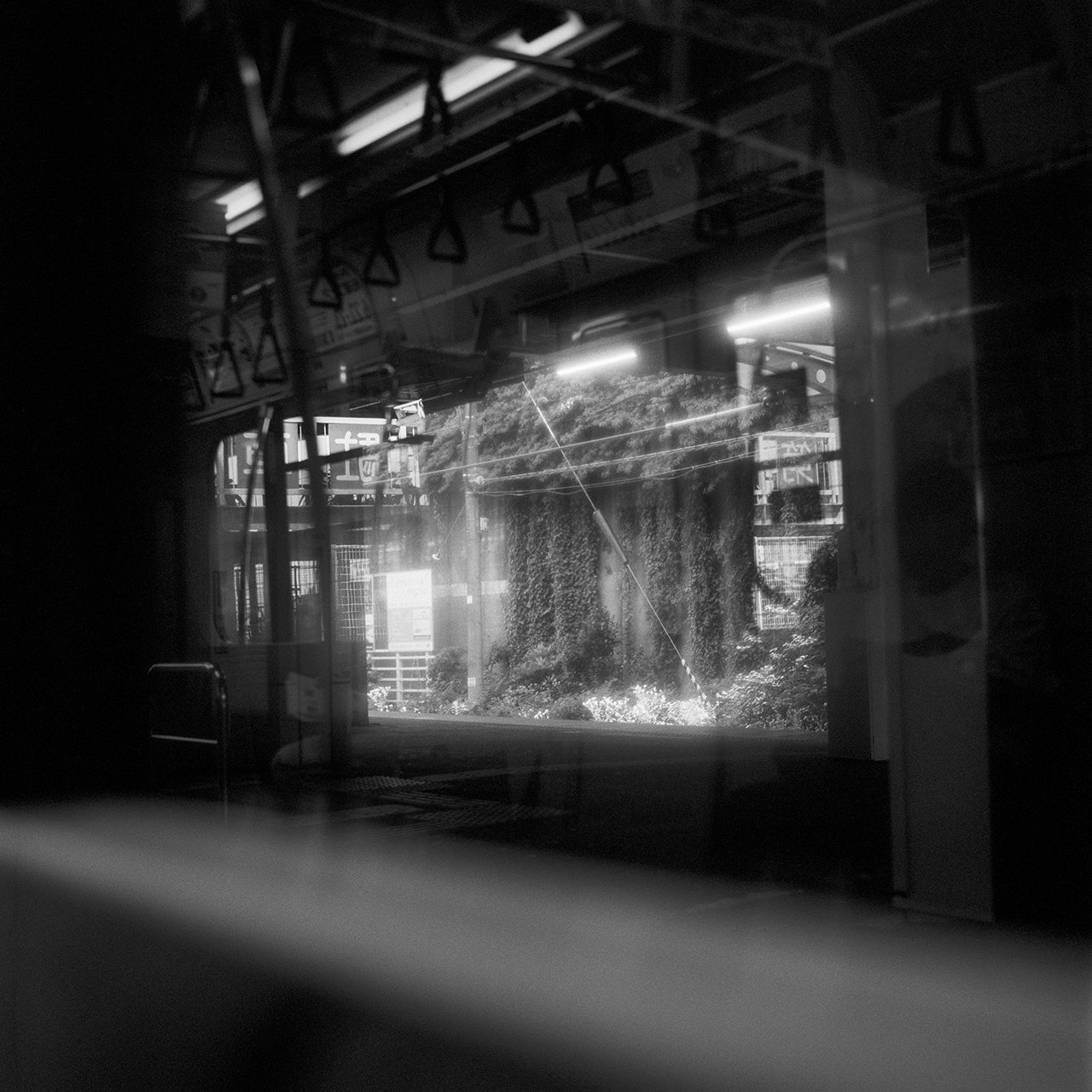 Languid Light, photo 5 of 26