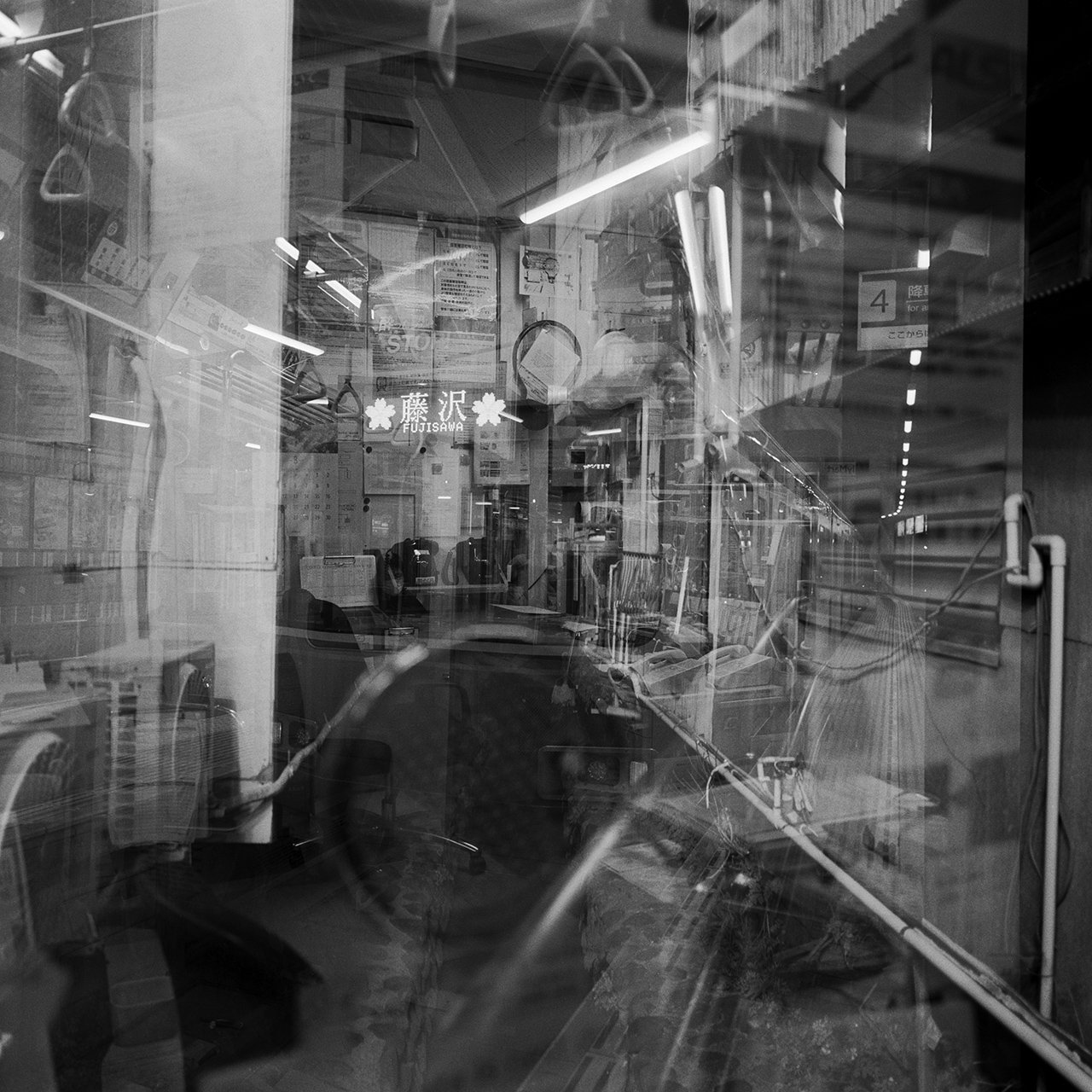 Languid Light, photo 6 of 26