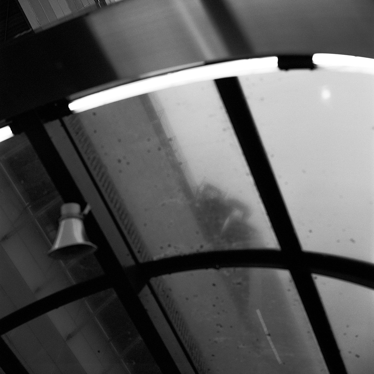 Languid Light, photo 9 of 26