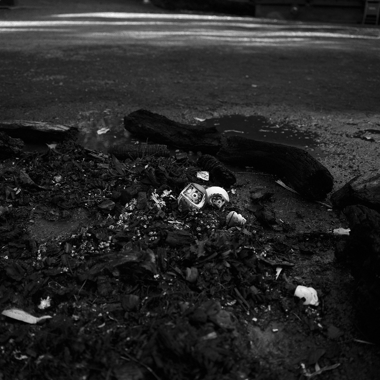 Languid Light, photo 13 of 26