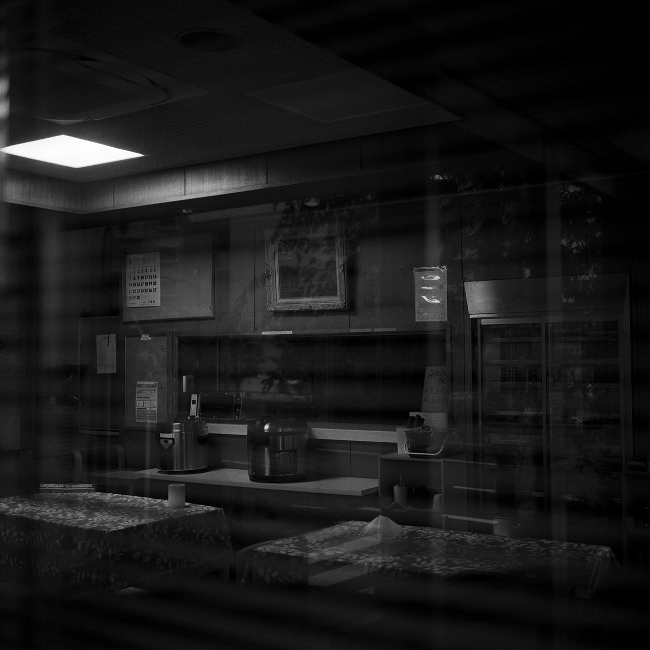 Languid Light, photo 18 of 26