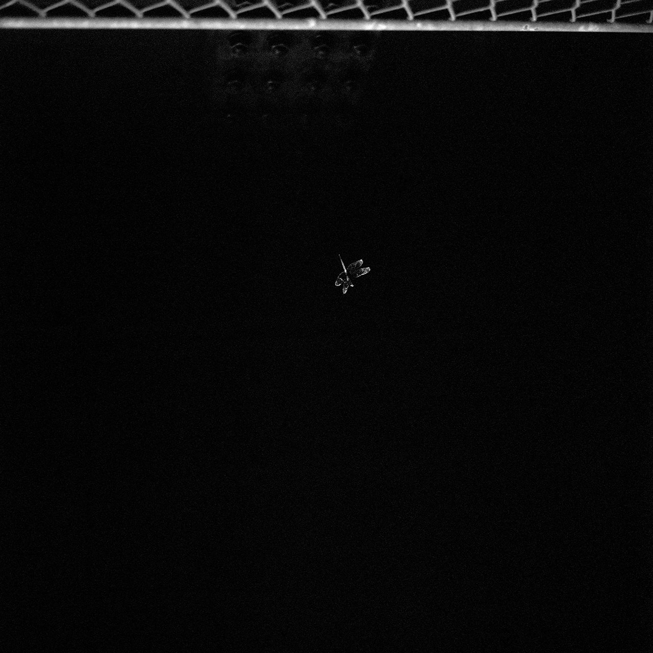 Languid Light, photo 26 of 26