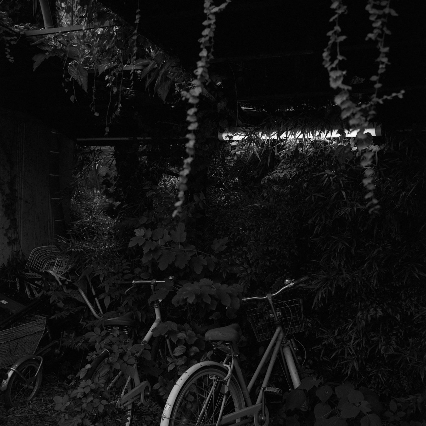 Past Perception, photo 7 of 27