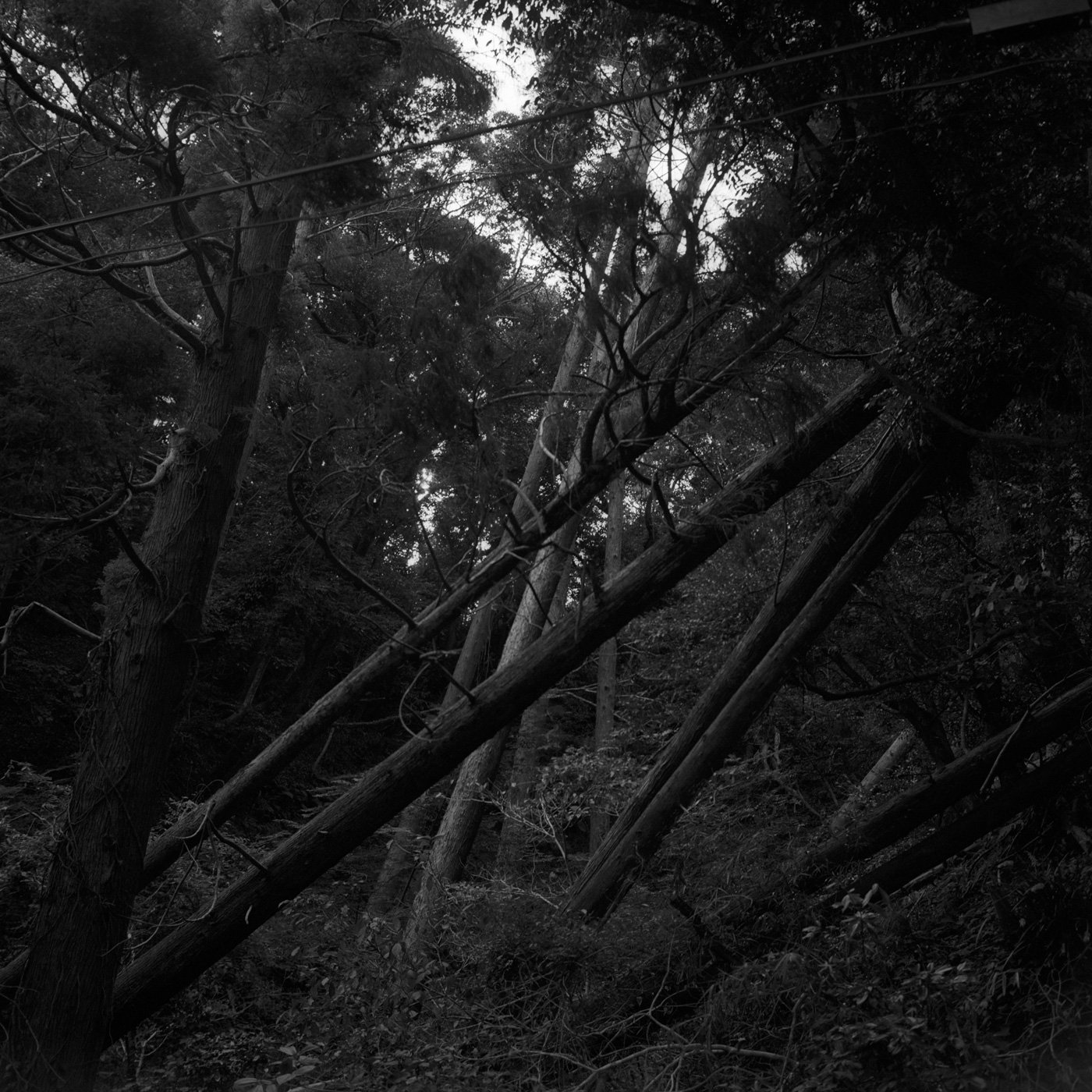 Past Perception, photo 9 of 27