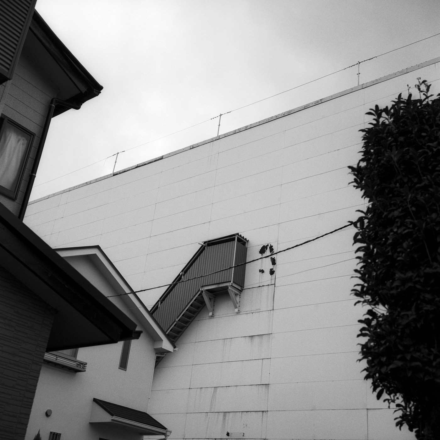 Past Perception, photo 12 of 27