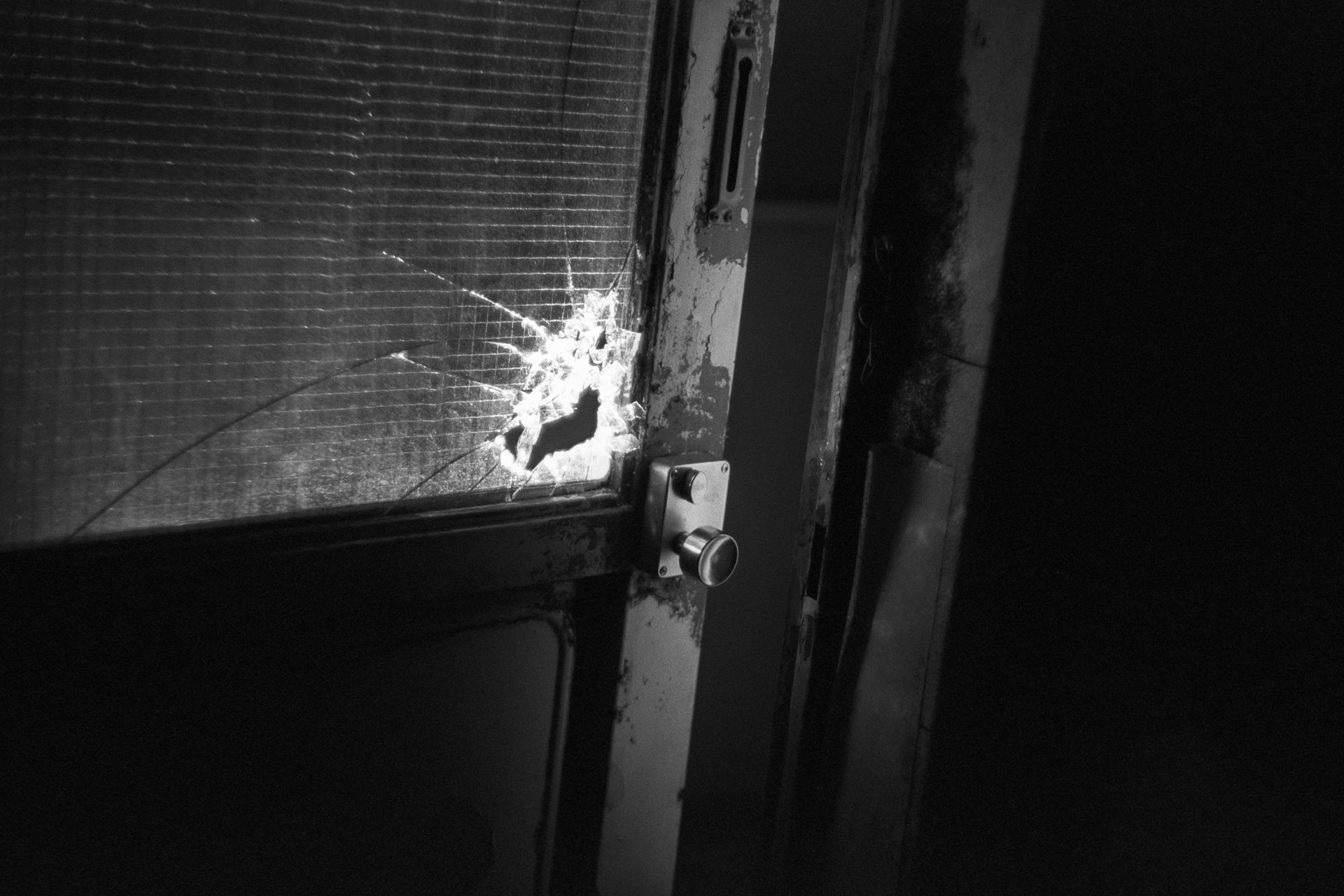 Spike, photo 15 of 28